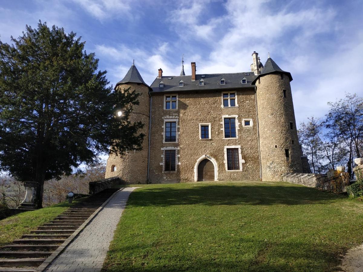 Appartement Chateau Uriage-Chamrousse Saint-Martin-d'Uriage Luaran gambar