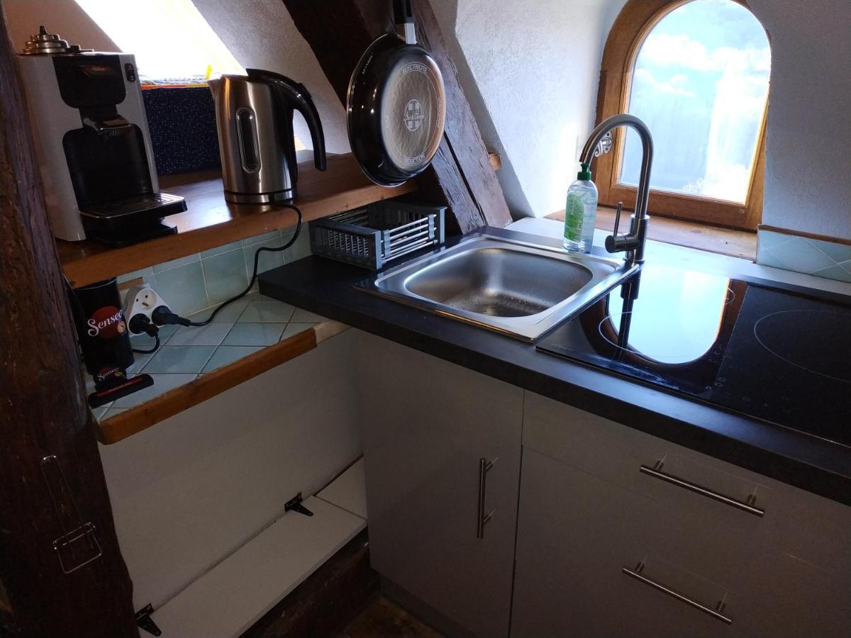 Appartement Chateau Uriage-Chamrousse Saint-Martin-d'Uriage Luaran gambar